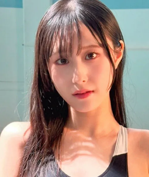提灯的人 高清电影手机免费在线观看